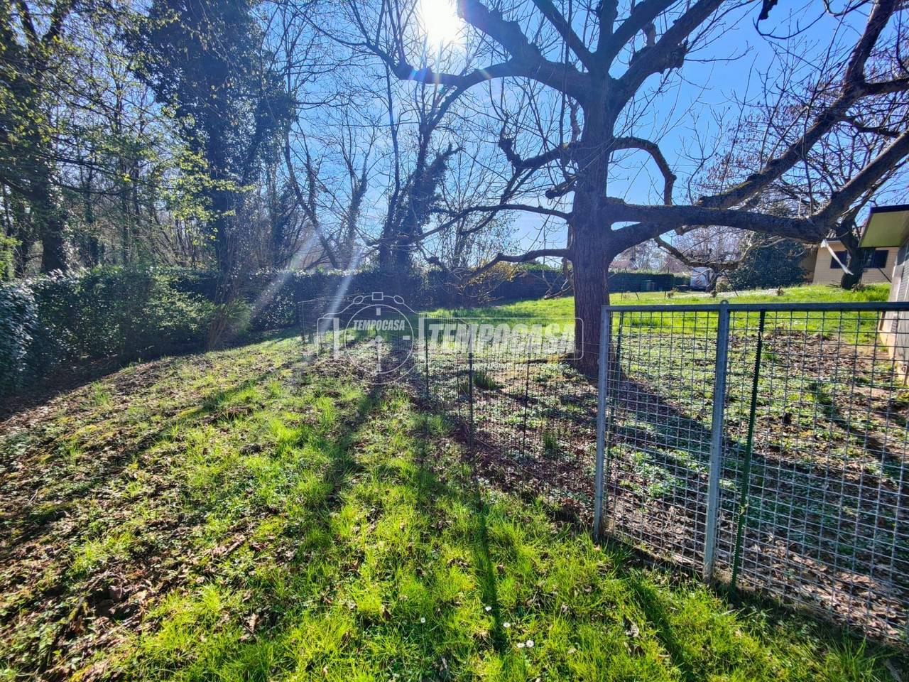 immagine annuncio 6 di 12