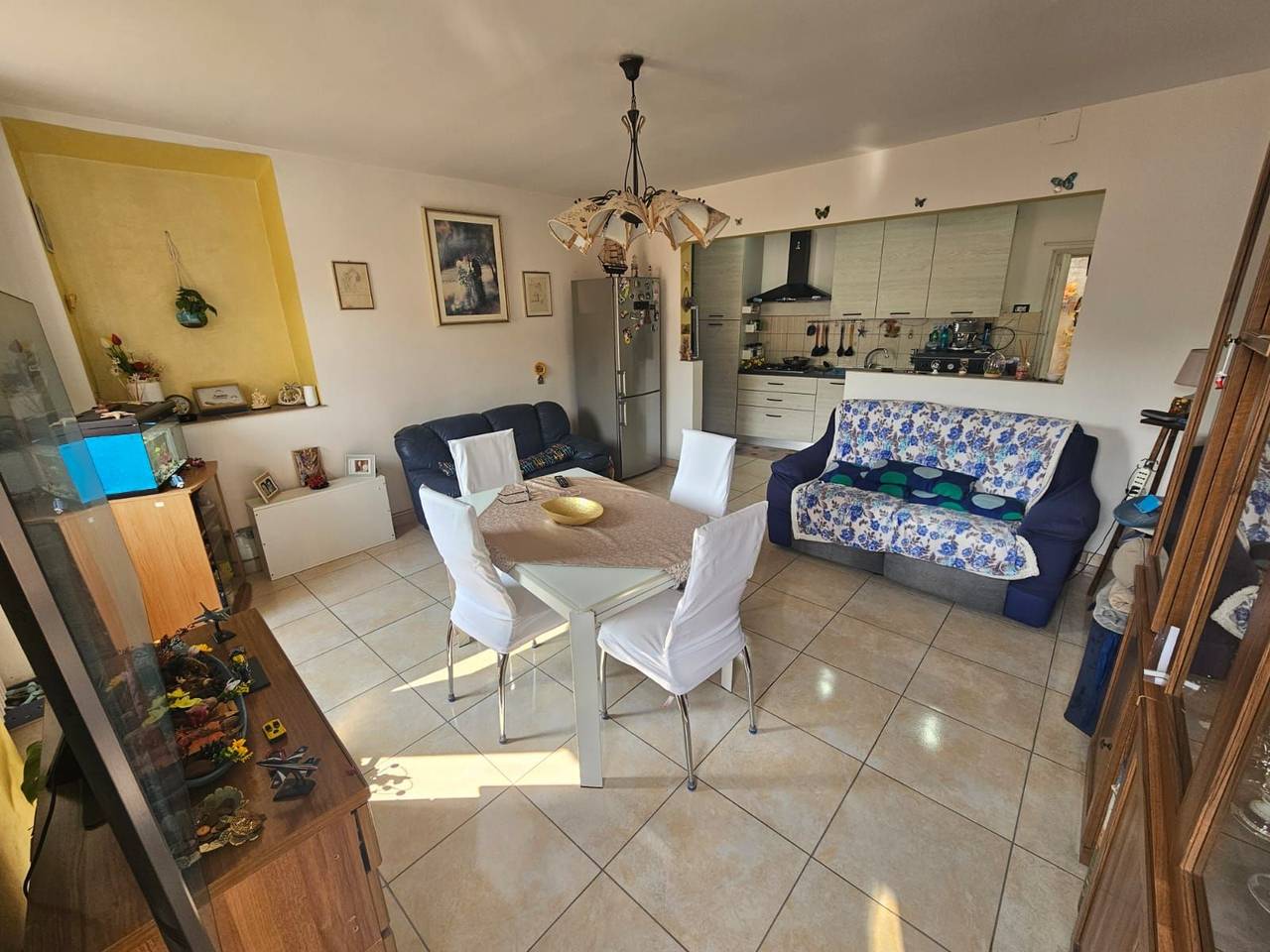 immagine annuncio 7 di 14