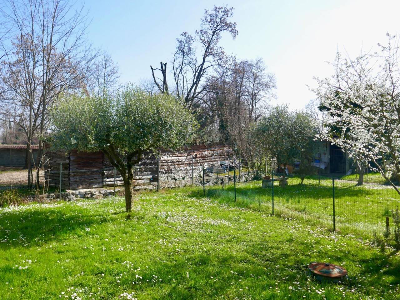 immagine annuncio 13 di 15