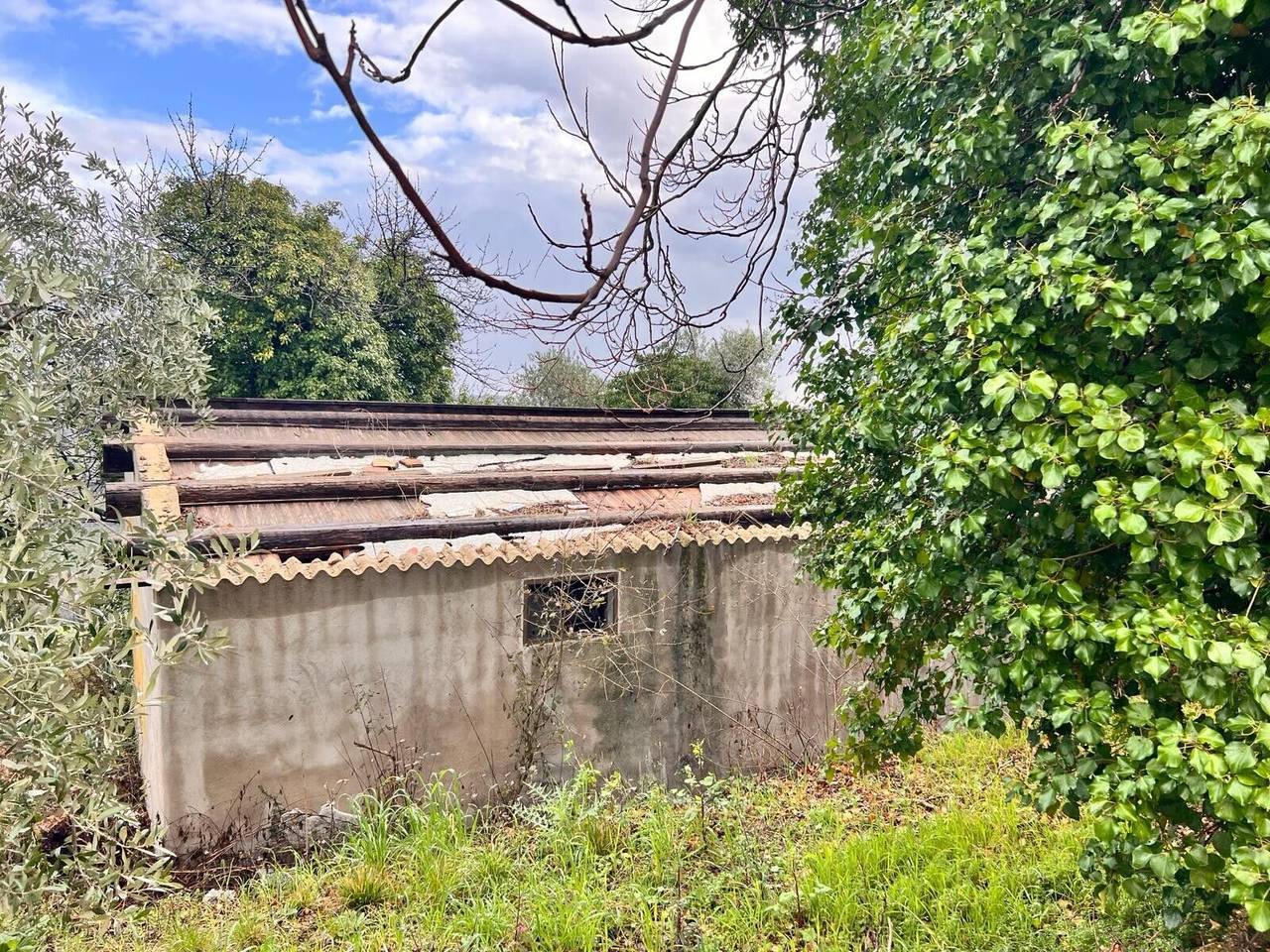 immagine annuncio 11 di 15