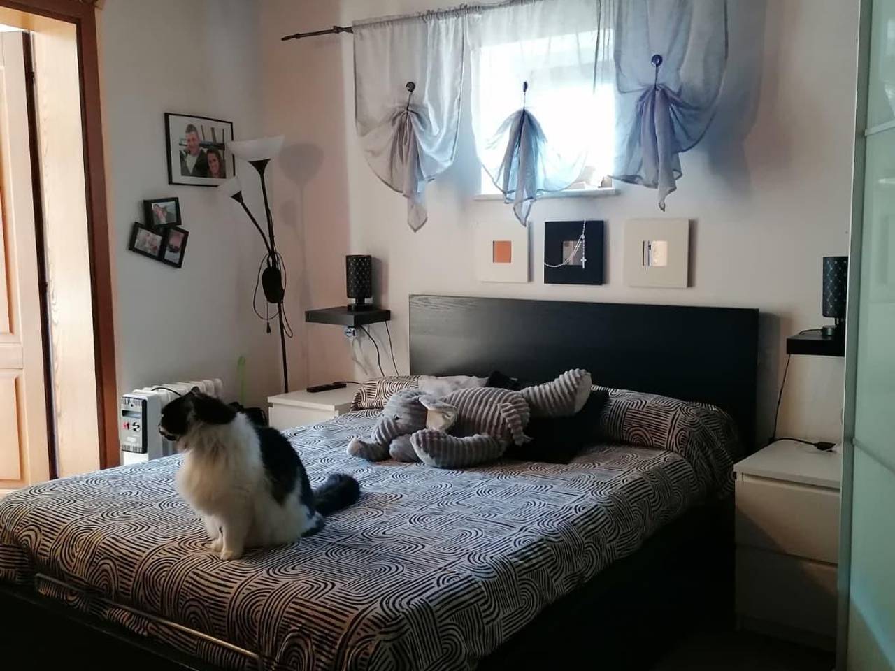 immagine annuncio 6 di 9