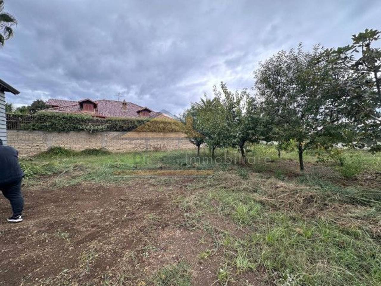 immagine annuncio 5 di 12