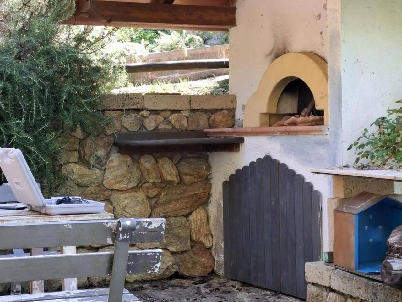 immagine annuncio 1 di 11