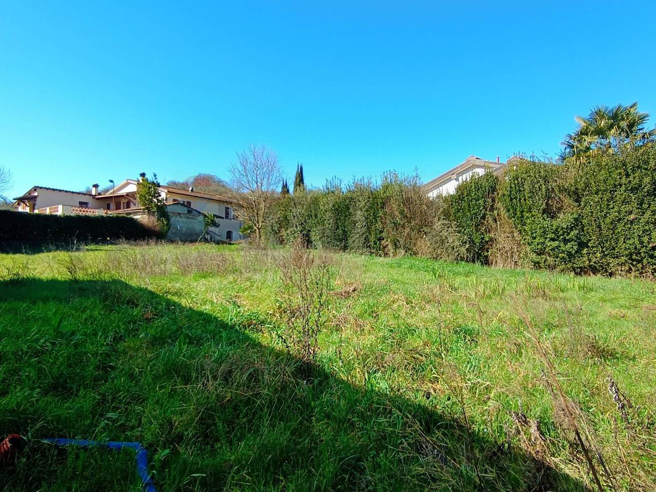 immagine annuncio 1 di 6