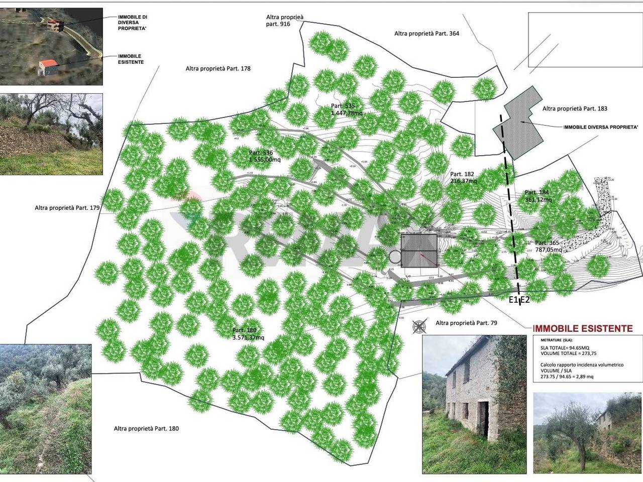 immagine annuncio 6 di 15