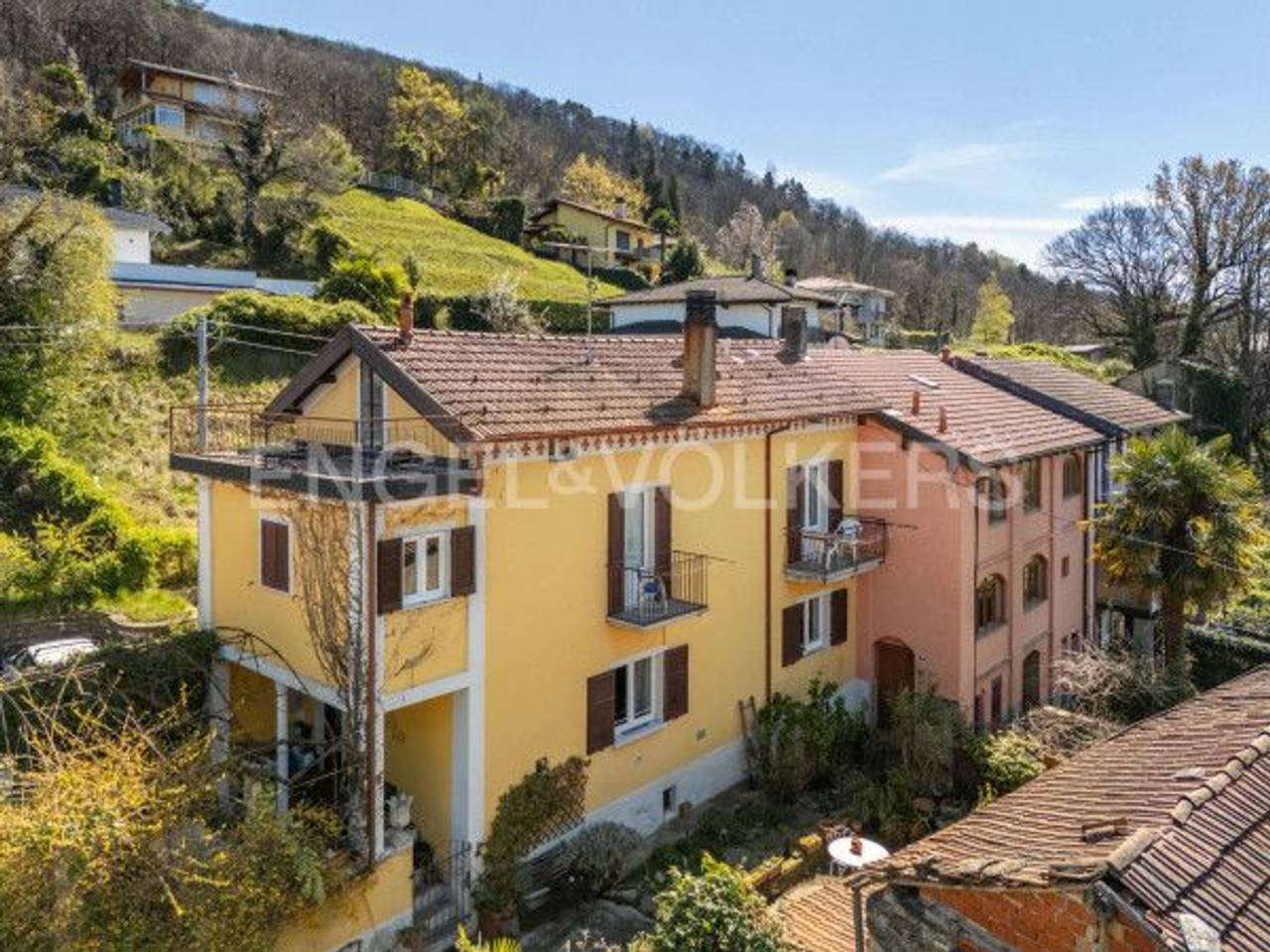 immagine annuncio 10 di 15