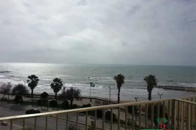 insertion image