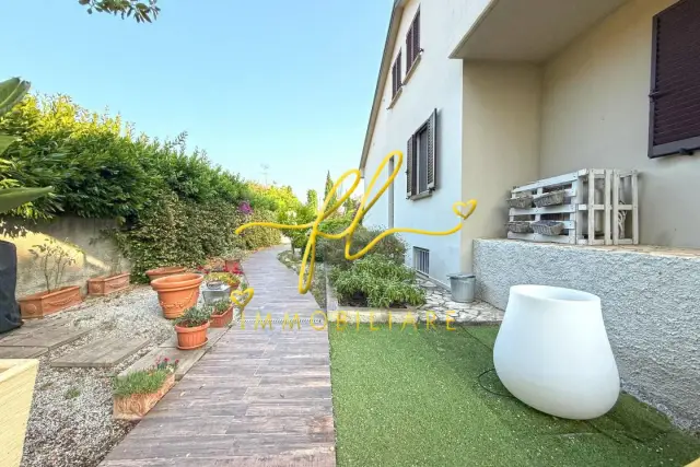 insertion image