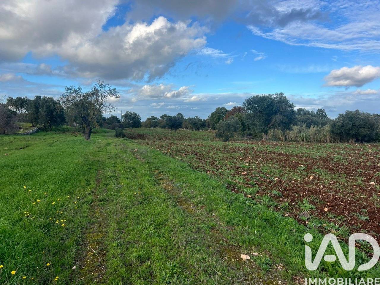 immagine annuncio 8 di 10