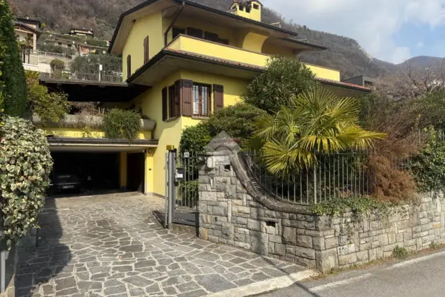 insertion image