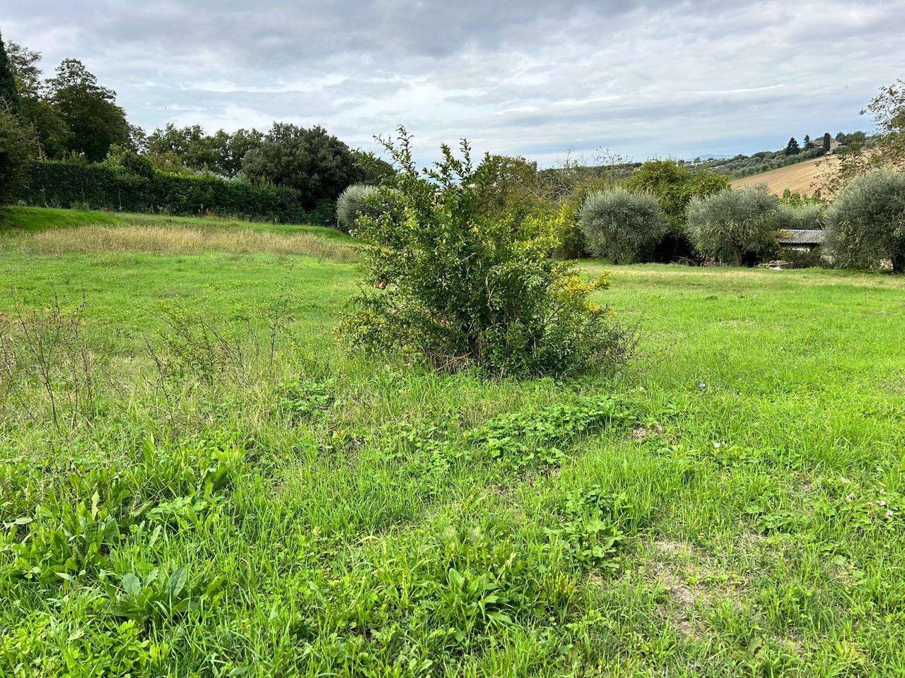 immagine annuncio 9 di 11