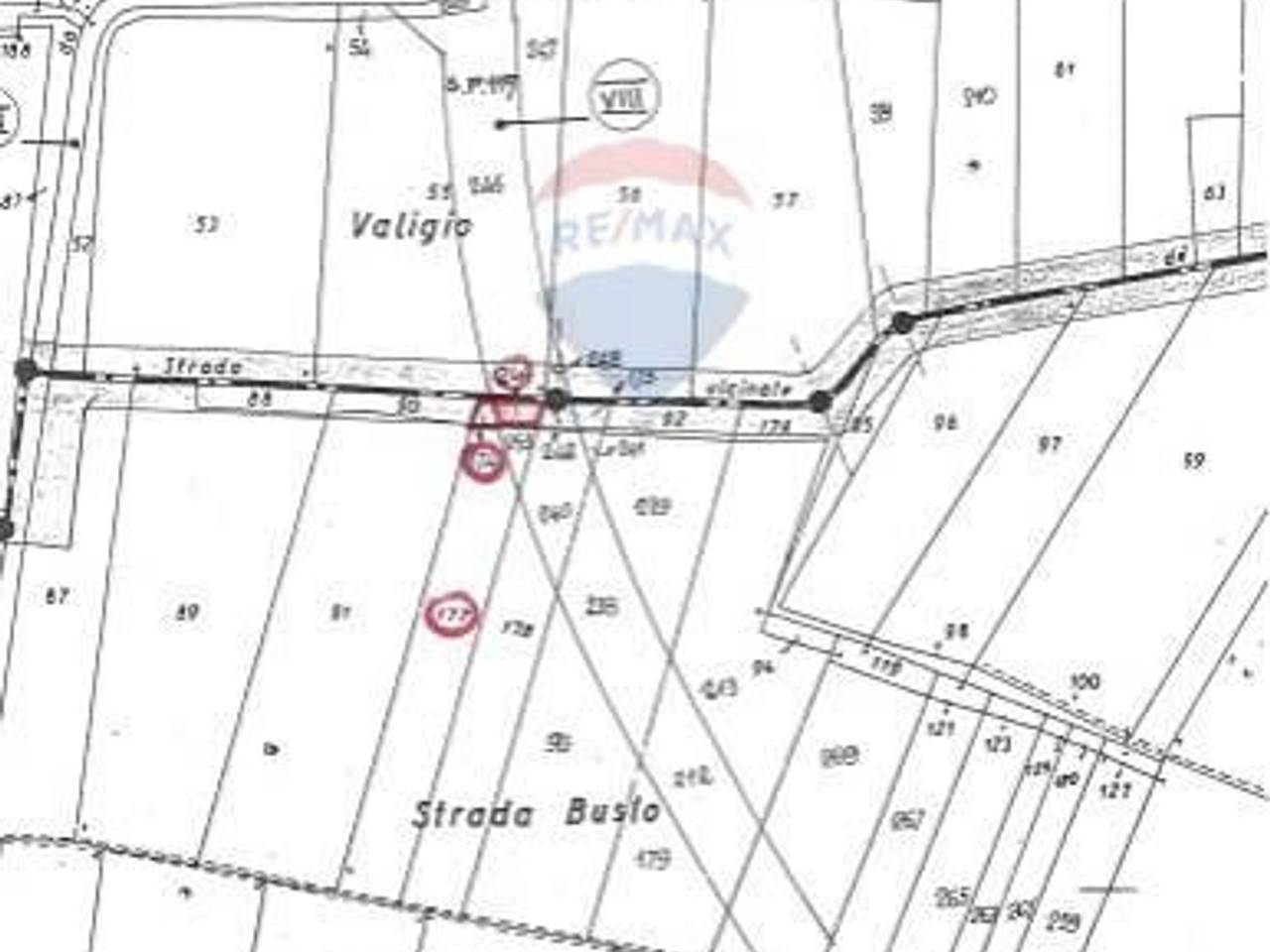 immagine annuncio 1 di 2