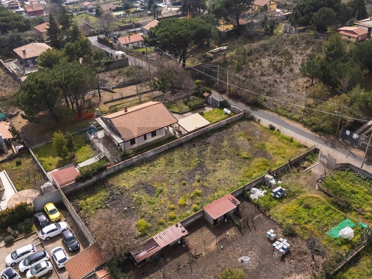 immagine annuncio 9 di 14