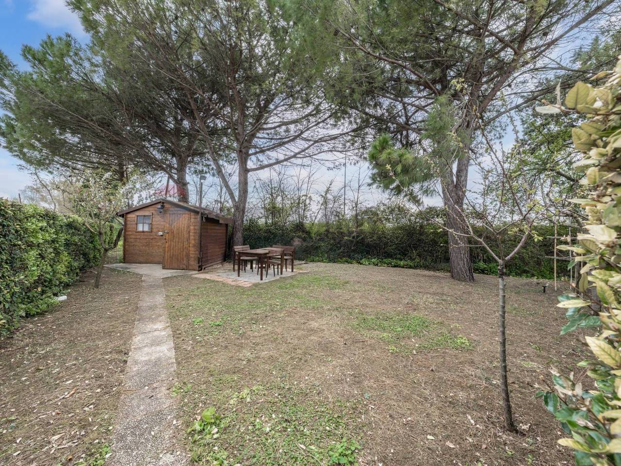 immagine annuncio 1 di 12