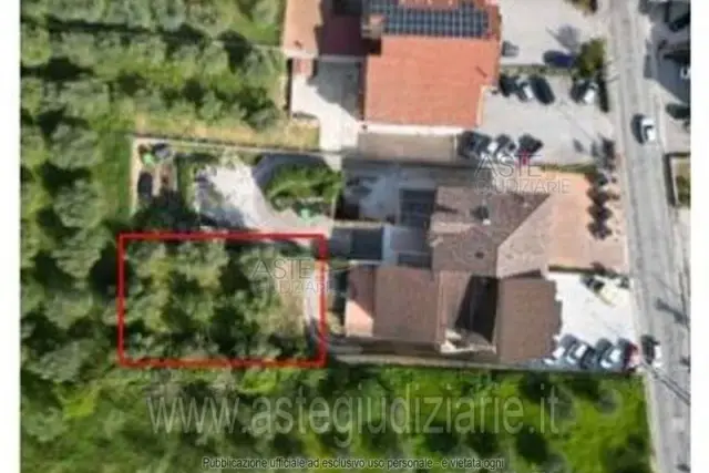 insertion image
