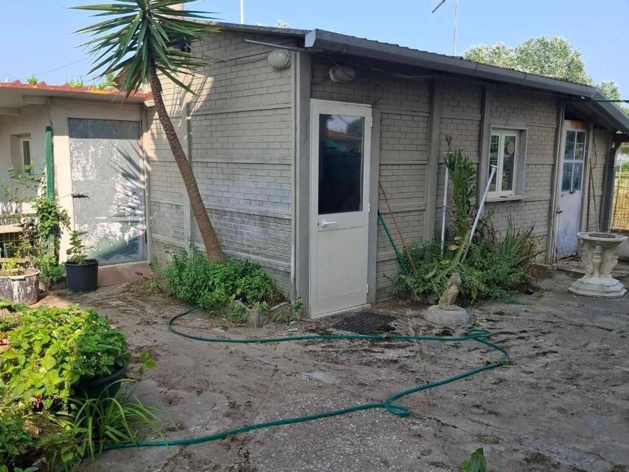 immagine annuncio 4 di 8