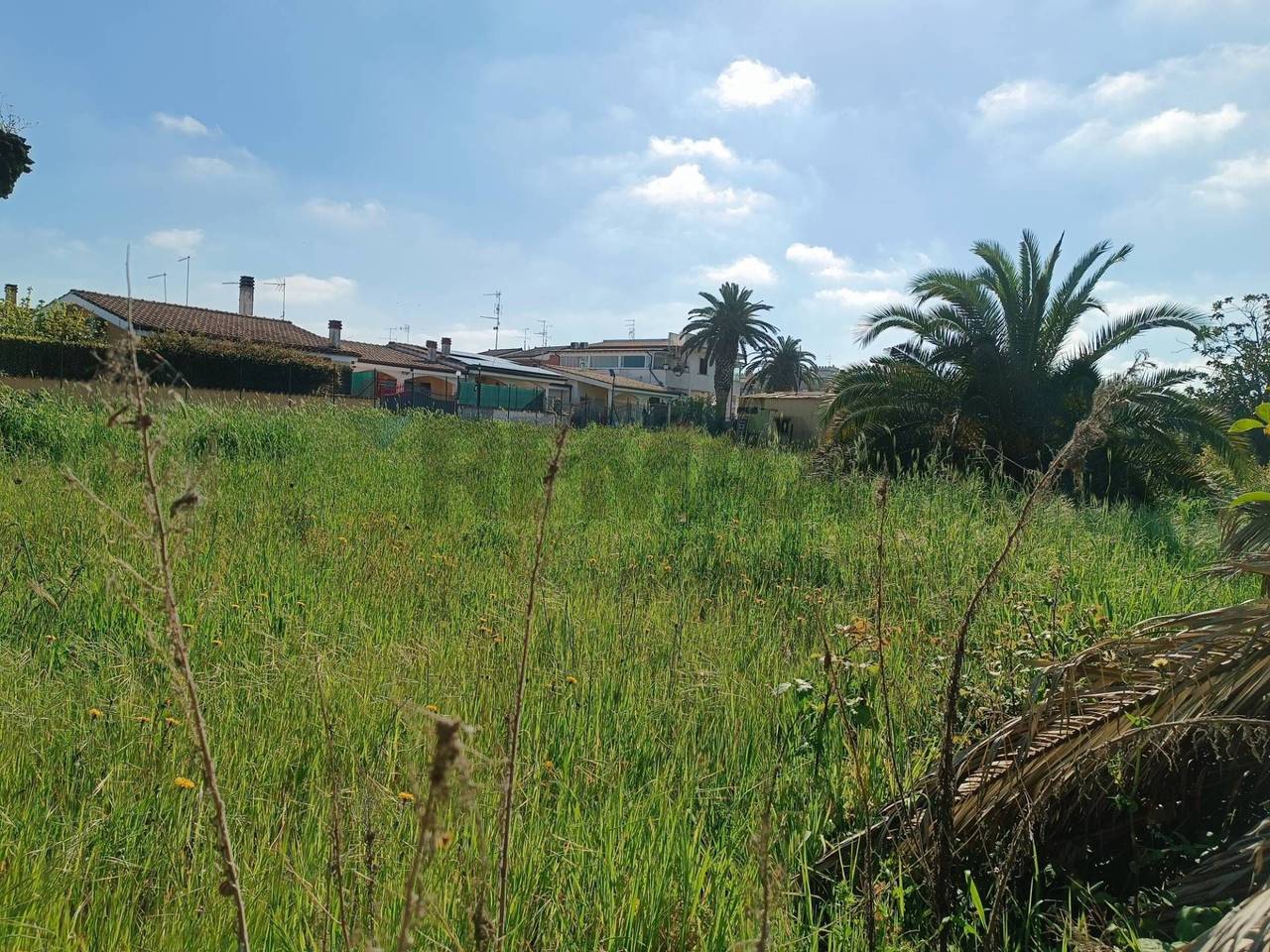 immagine annuncio 2 di 12