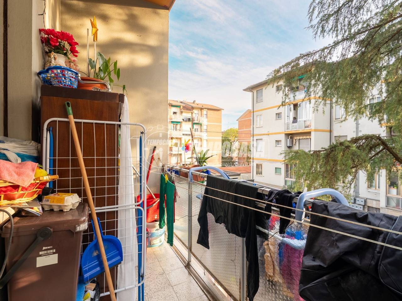 immagine annuncio 5 di 14