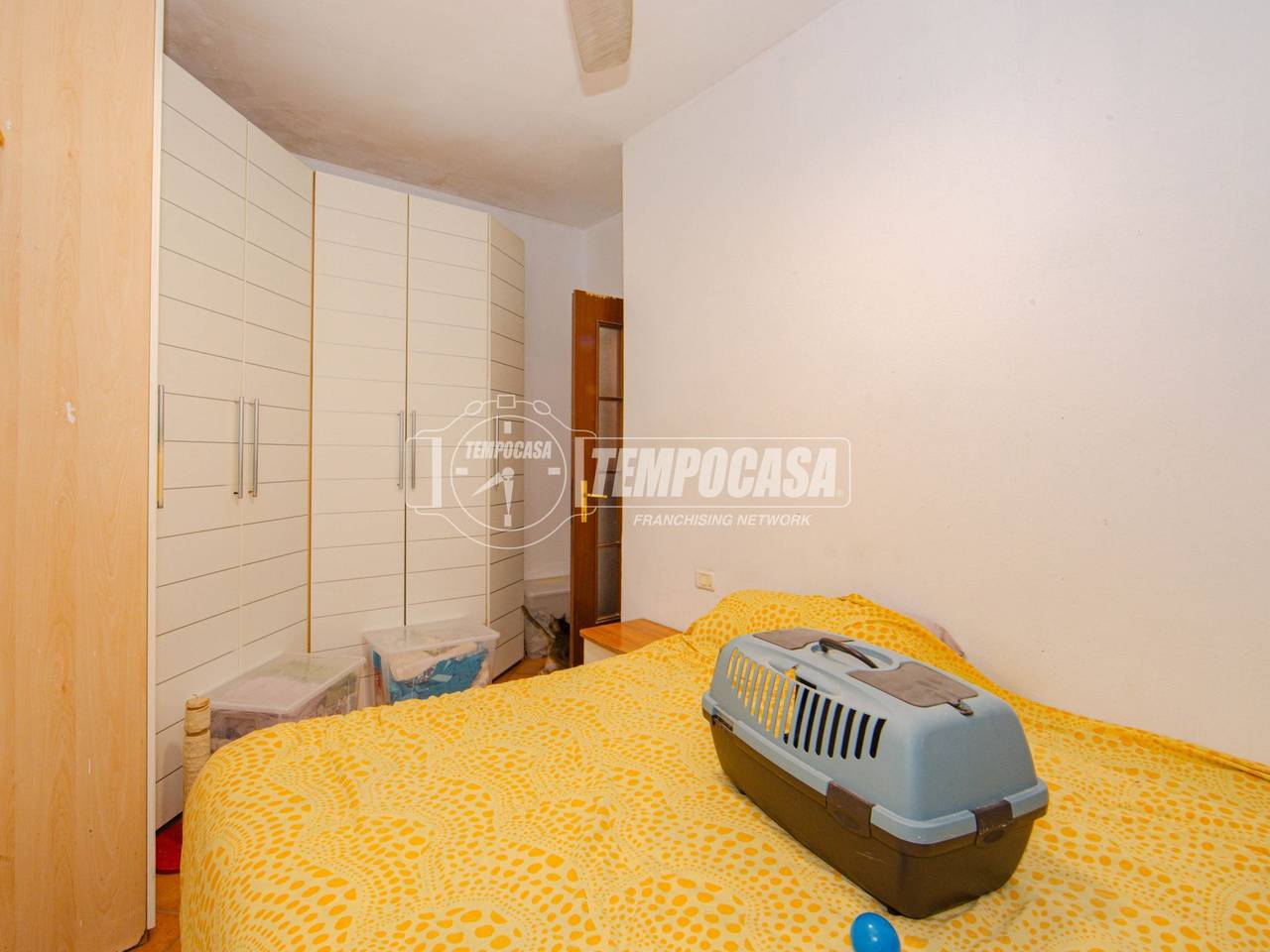 immagine annuncio 6 di 13