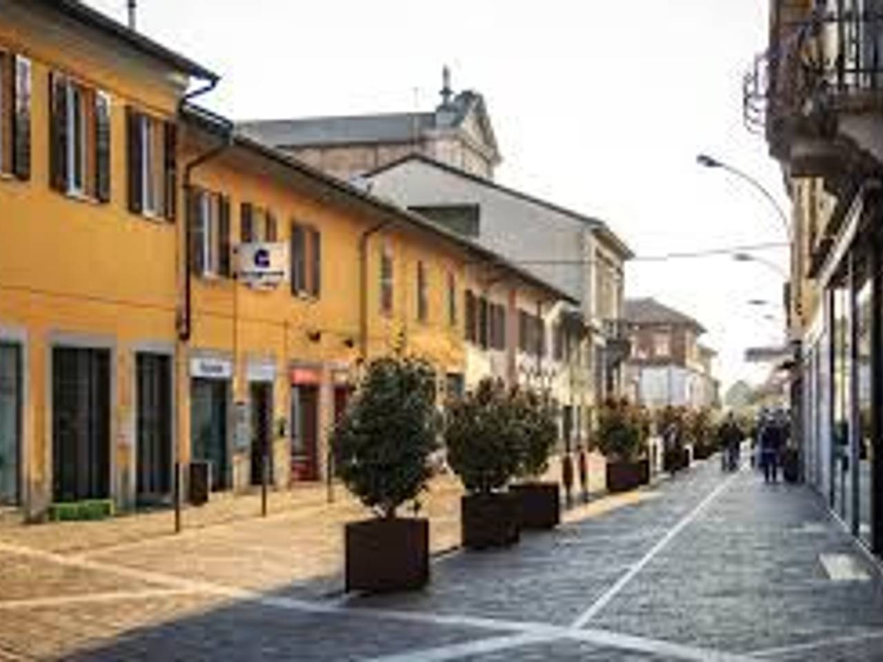 immagine annuncio 2 di 6