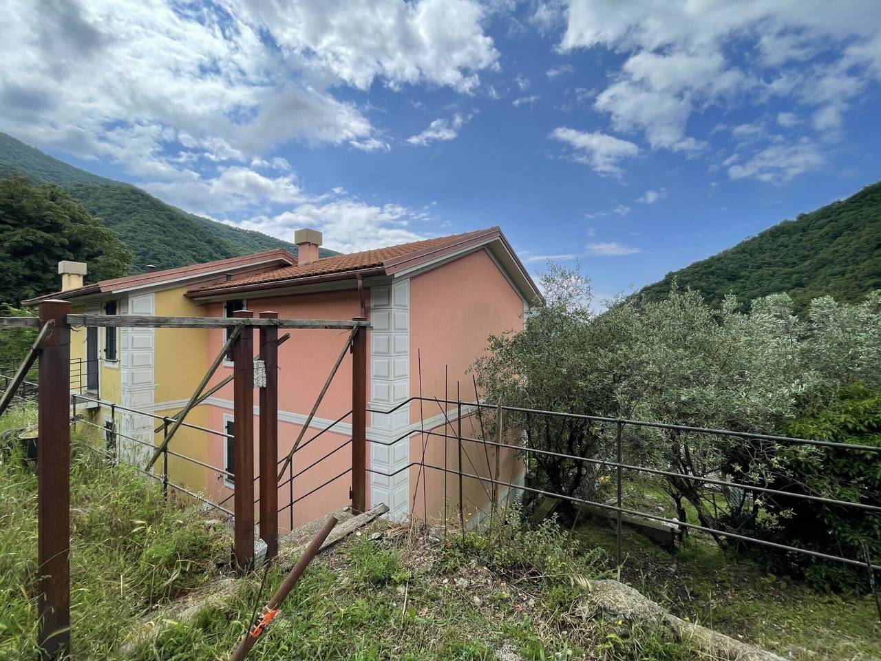 immagine annuncio 1 di 15