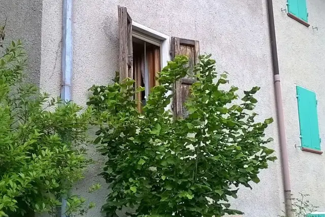 insertion image