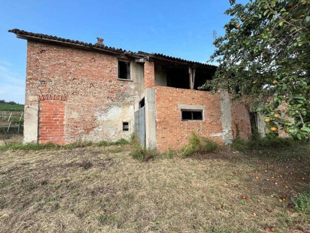 immagine annuncio 7 di 12