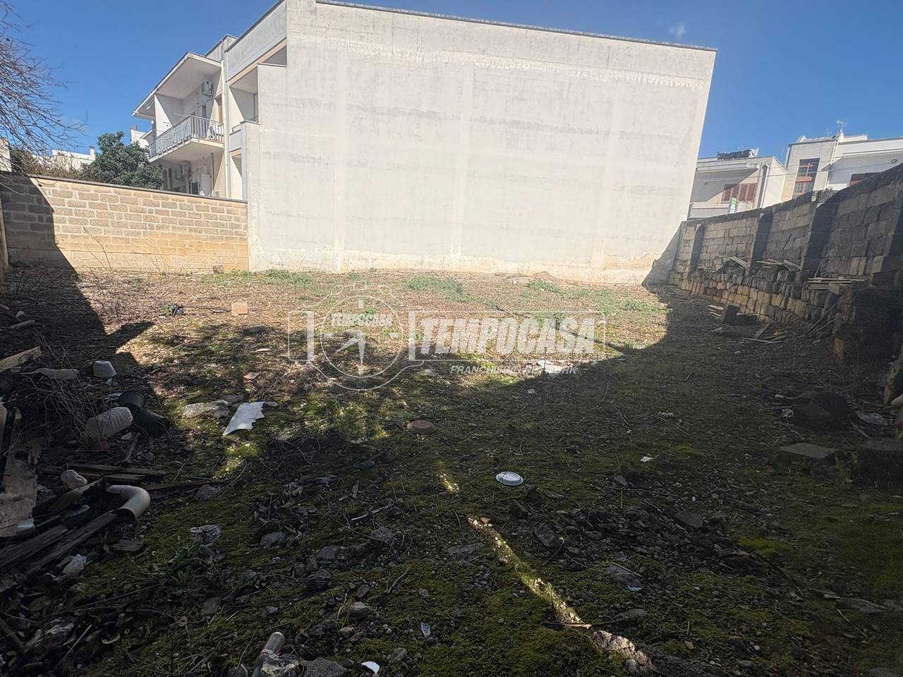 immagine annuncio 1 di 9