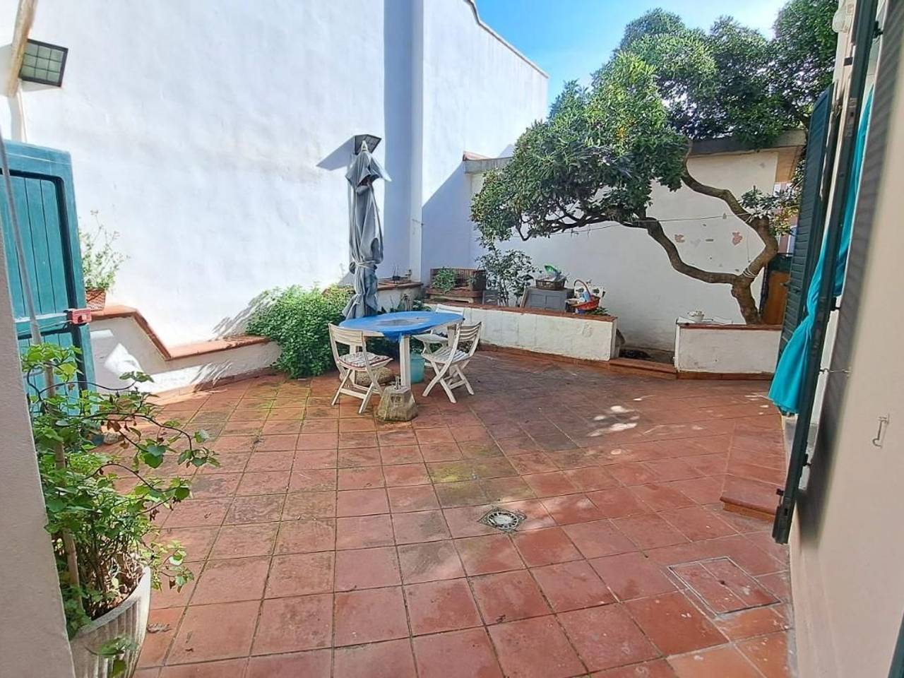 immagine annuncio 3 di 14