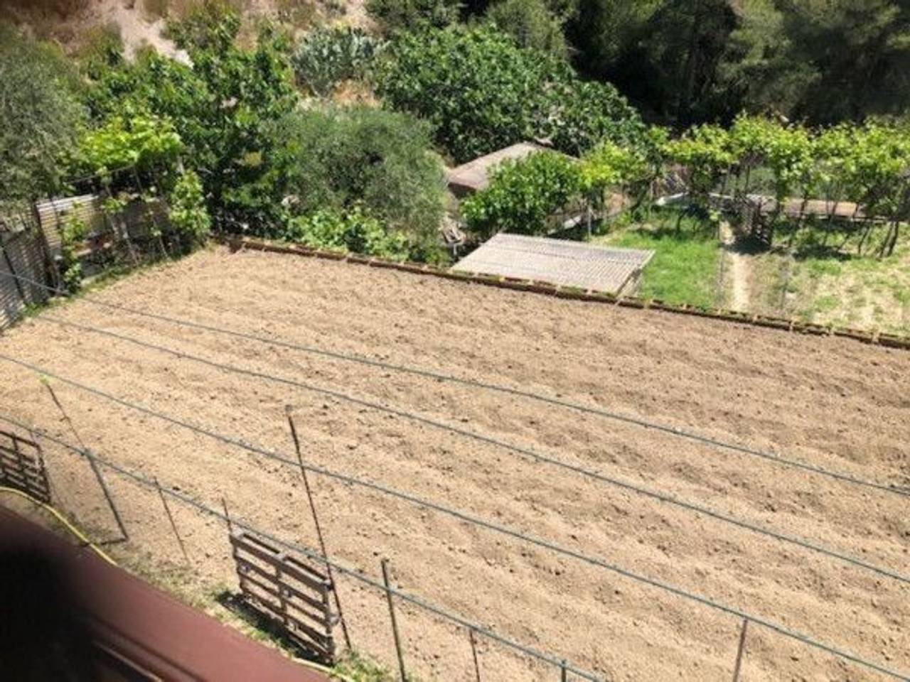 immagine annuncio 3 di 11