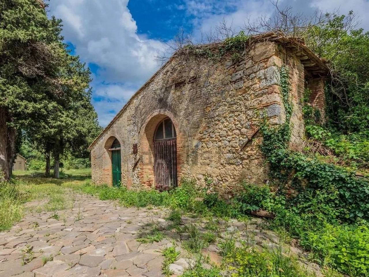 immagine annuncio 6 di 15