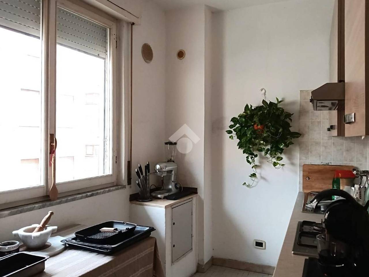 immagine annuncio 6 di 14