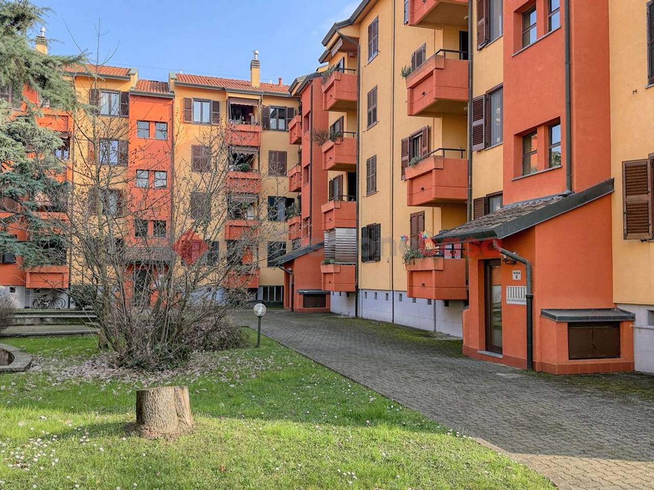immagine annuncio 1 di 15
