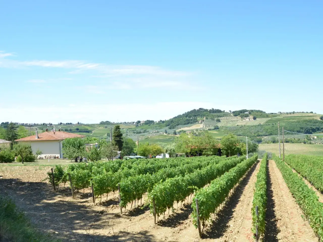 Azienda agricola in Via Mattonaia 6, Montespertoli, {3} - Foto 2