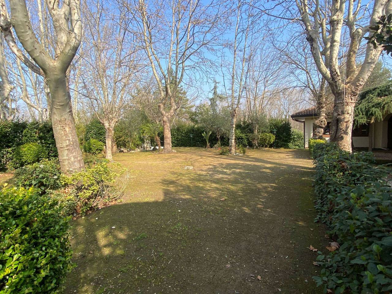 immagine annuncio 4 di 15