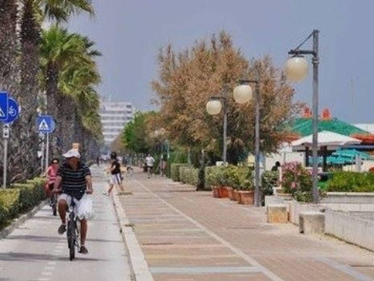 immagine annuncio 9 di 14