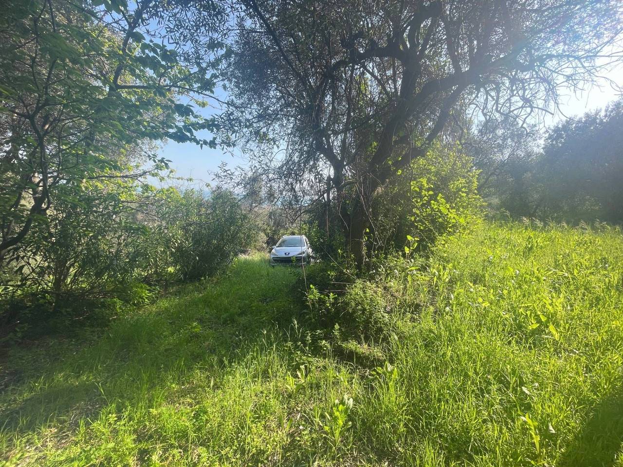 immagine annuncio 4 di 11