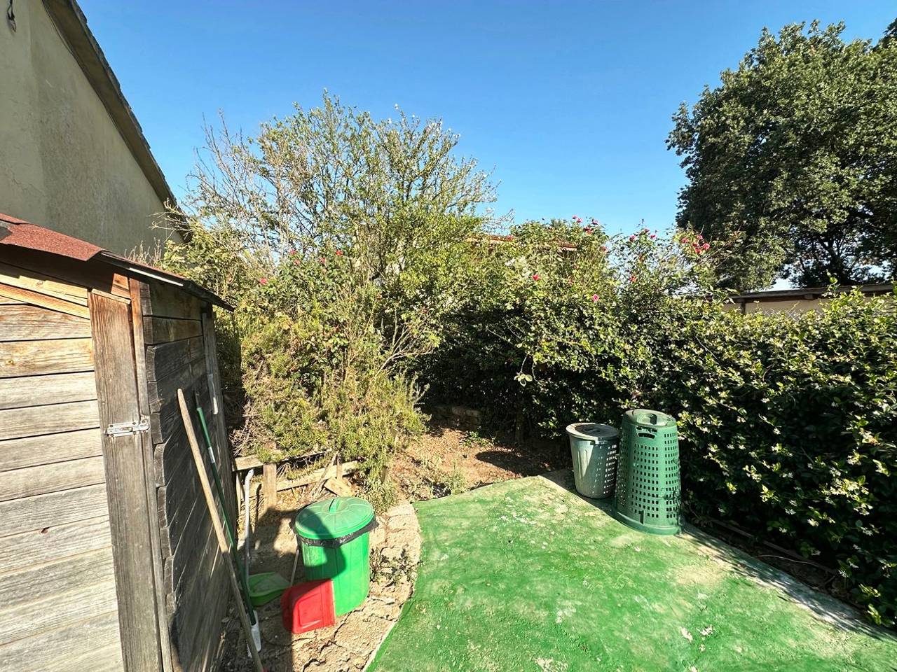 immagine annuncio 2 di 12