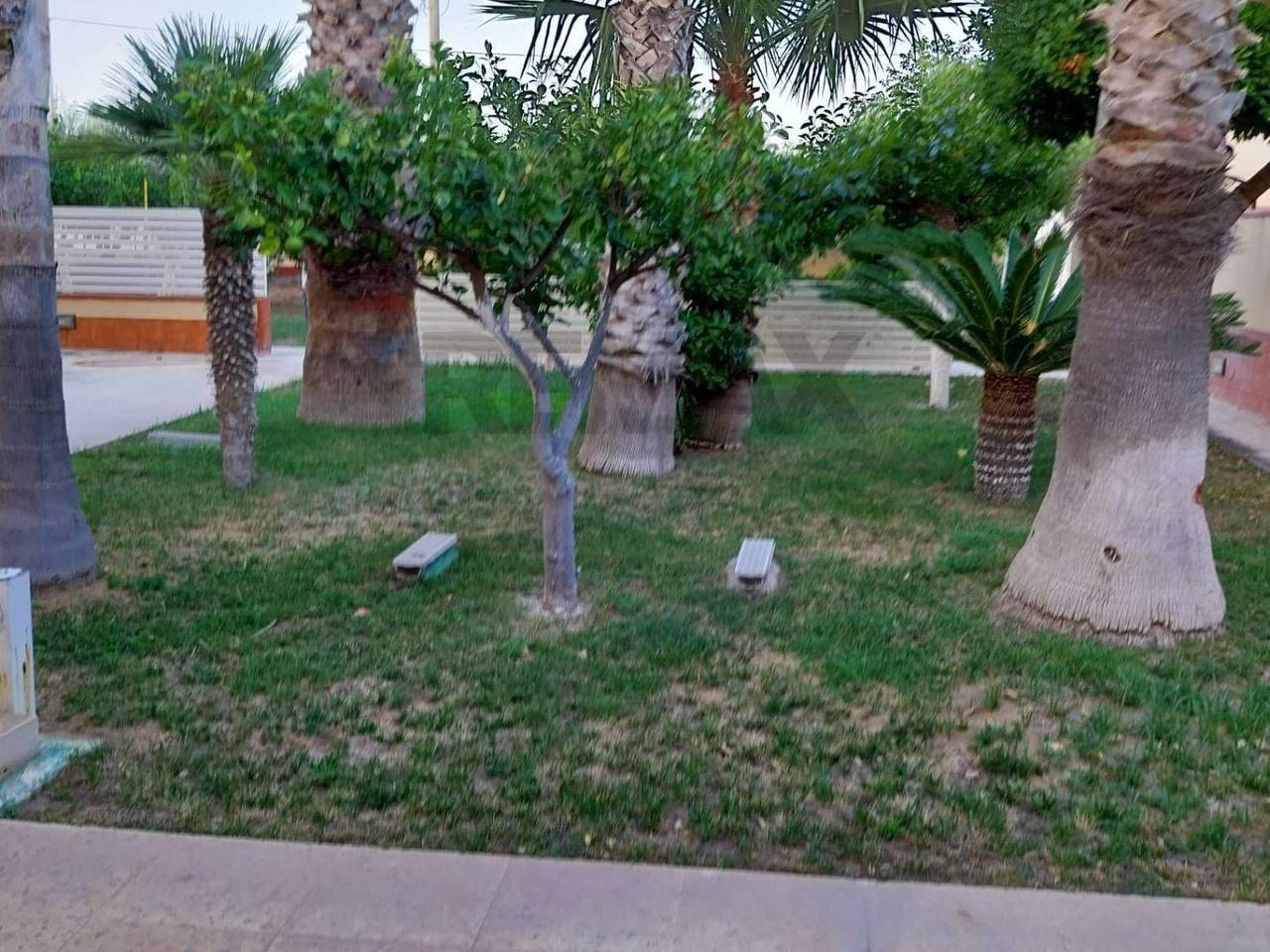 immagine annuncio 1 di 8