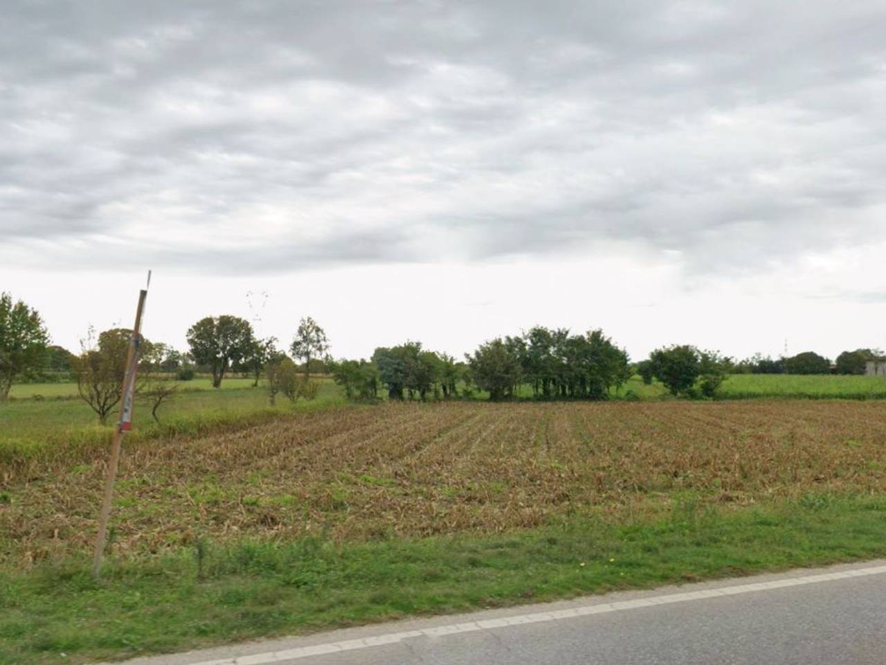 immagine annuncio 5 di 7