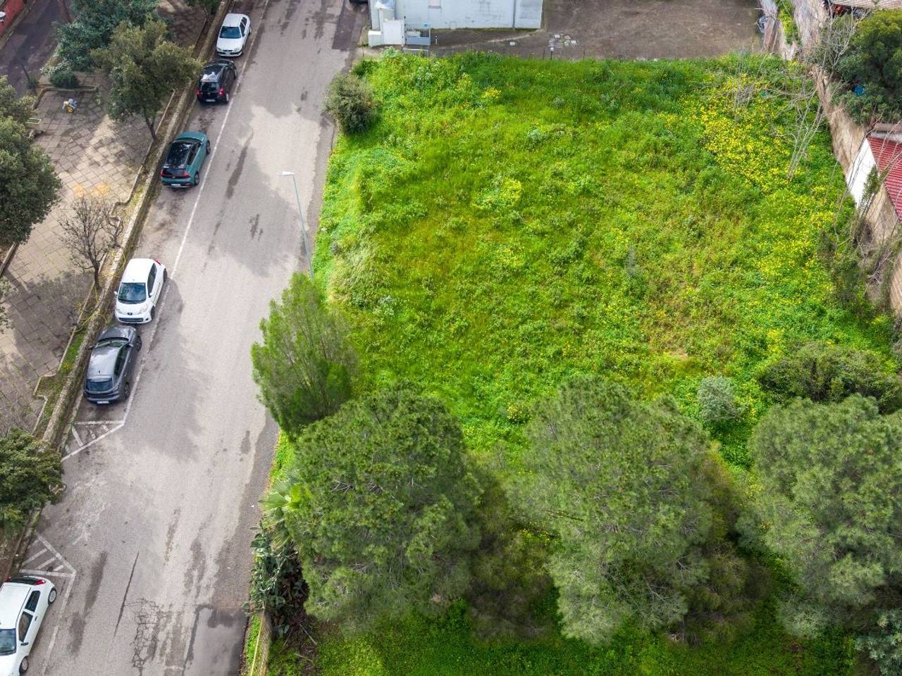 immagine annuncio 13 di 14