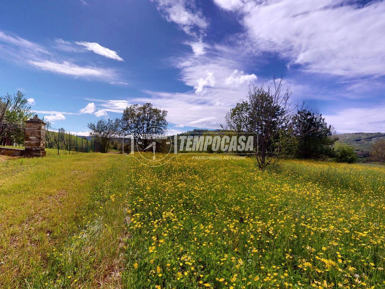 immagine annuncio 3 di 12