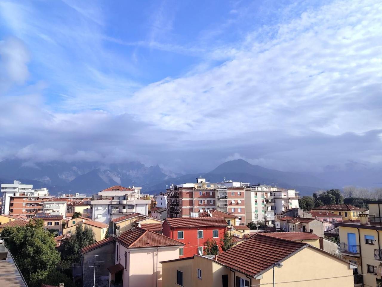 immagine annuncio 11 di 12