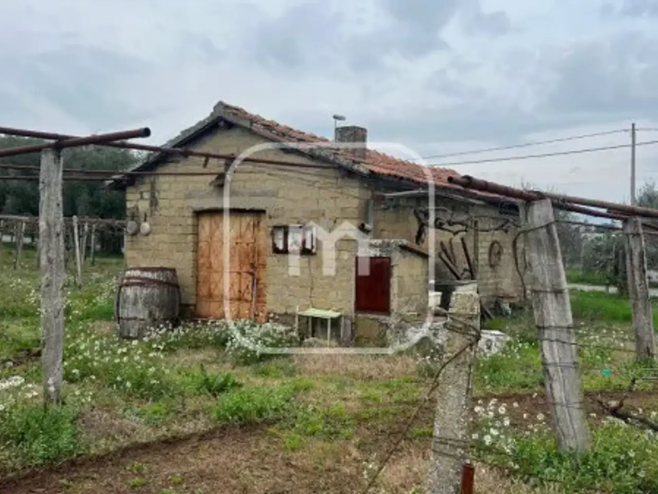 Magazzino in Via Colle Pallavicini, Zagarolo, {3} - Foto 1