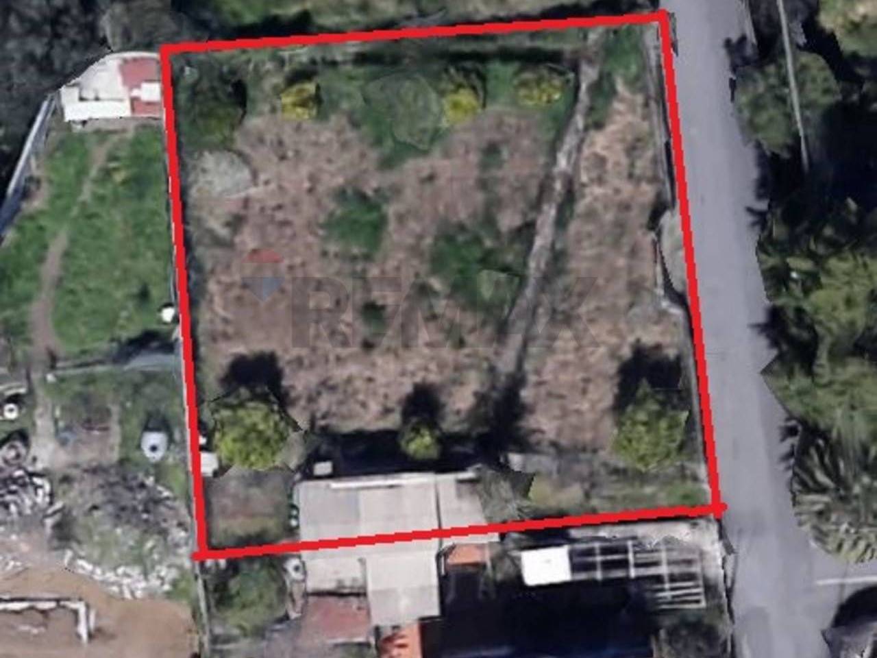 immagine annuncio 1 di 6