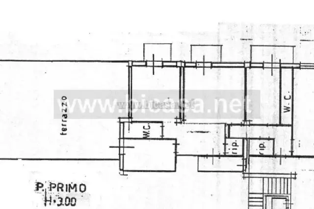 main planimetry real estate image