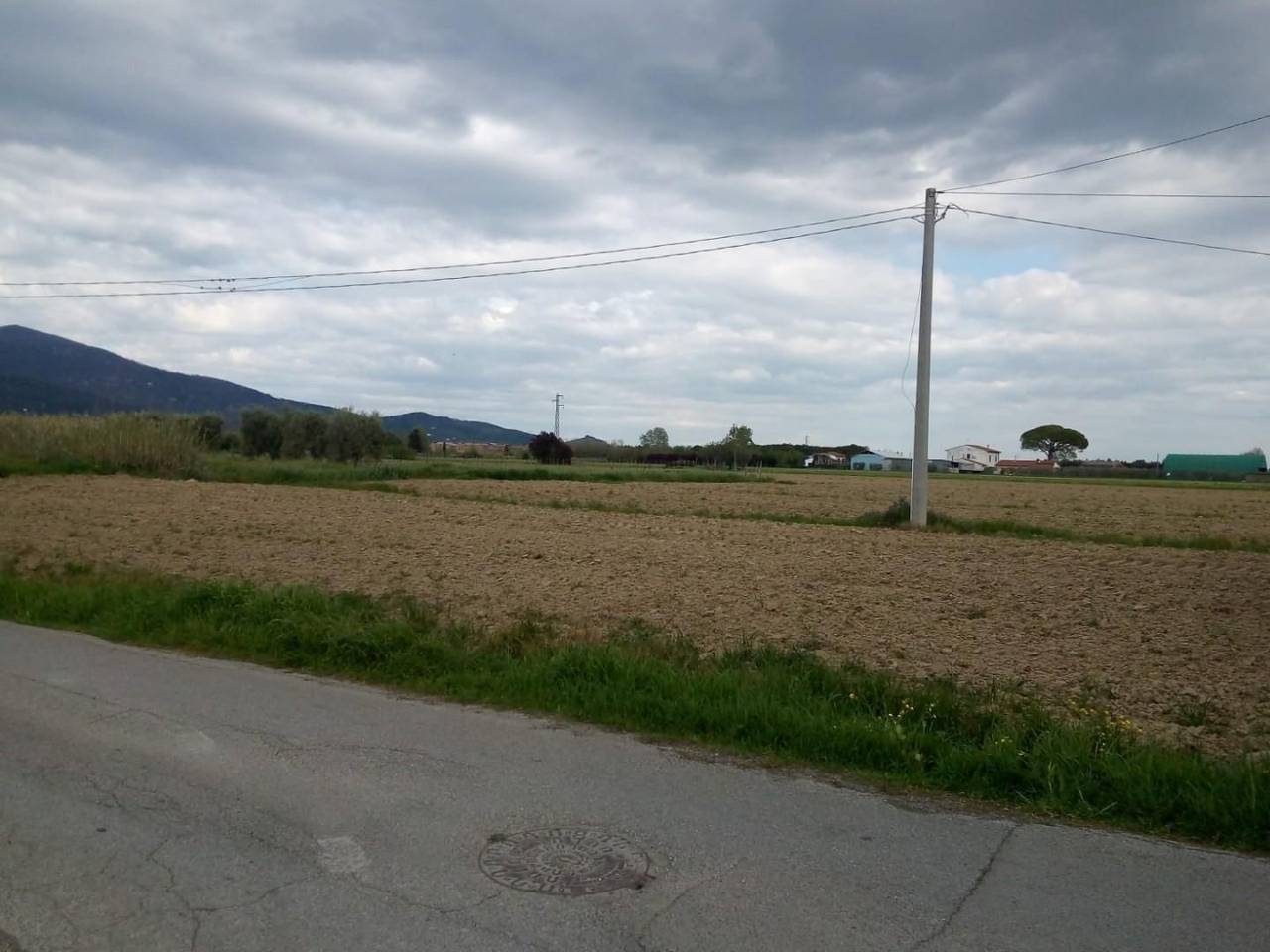 immagine annuncio 2 di 4