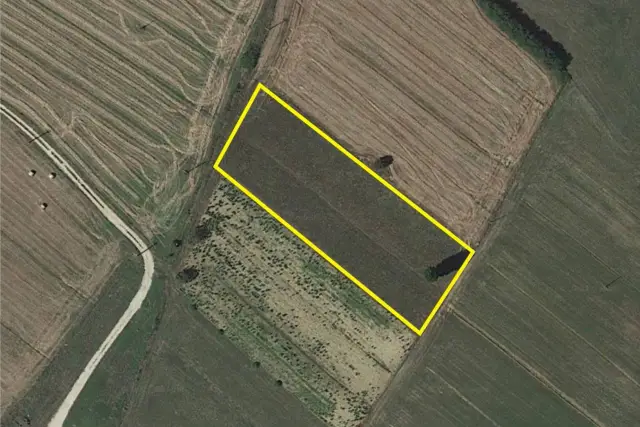insertion image