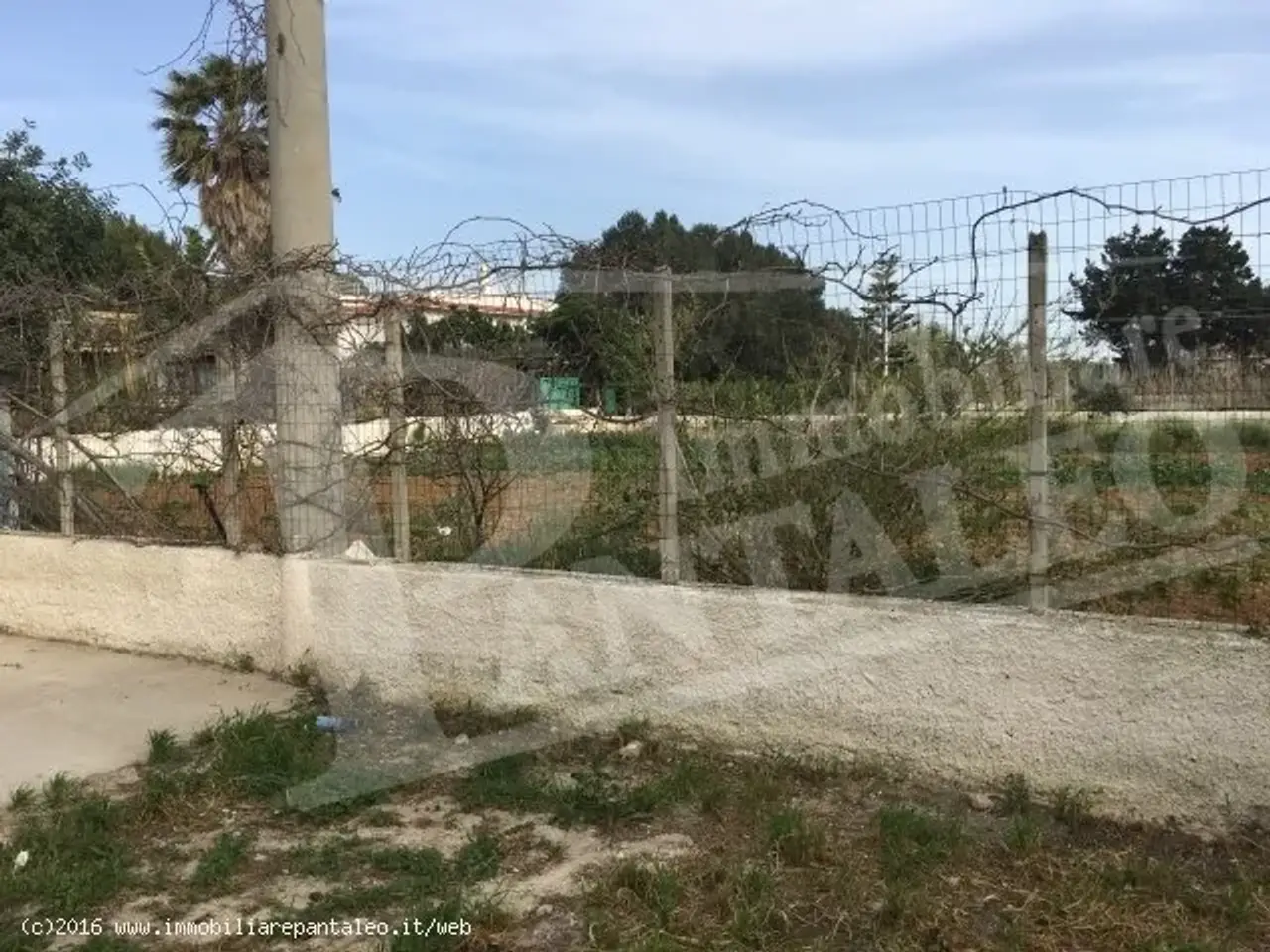 Esercizio commerciale in 
C.da Fossarunza									, 
Marsala									, Marsala, {3} - Foto 2