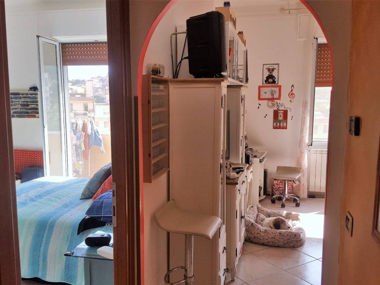 immagine annuncio 11 di 14